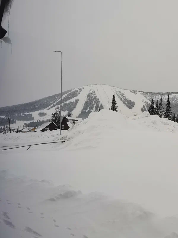 Галерея изображение 28