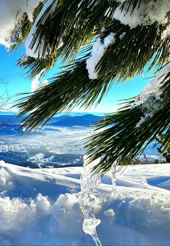 Галерея изображение 6